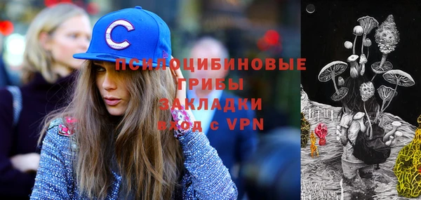 мет Белокуриха