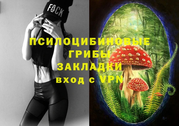 мет Белокуриха