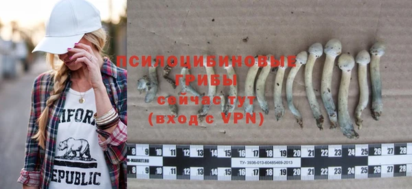 соль ск Беломорск