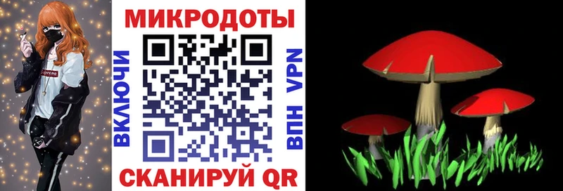 мега маркетплейс  Минеральные Воды  Галлюциногенные грибы Psilocybine cubensis 